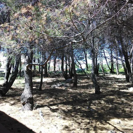 Lejlighed Pinewood *